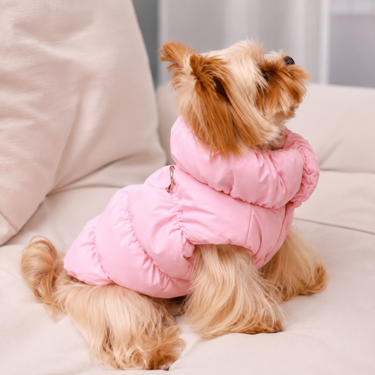 Chaleco Arctic™ para Mascotas.